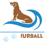 Furball Pet Products
