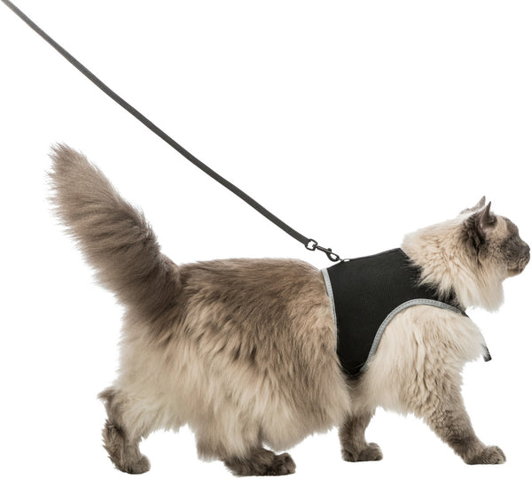 Cat harness size new arrivals
