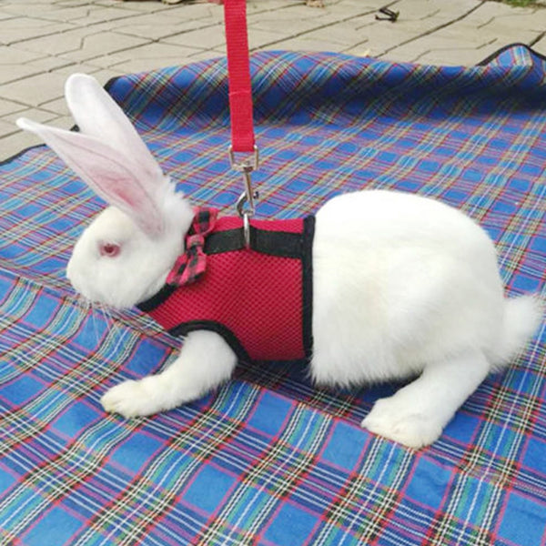 Rabbit Harness Large Rabbits Furball Pet Products