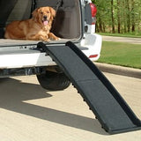 Dog Ramp (Cosmic Pets)