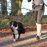 Waistbelt with Leash