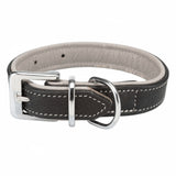 Leather Collar for Dogs
