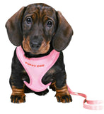 Harness - Puppy Soft Harness and lead