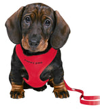 Harness - Puppy Soft Harness and lead