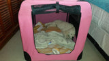 Collapsible Pet Crate/Carrier