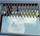 Car Window Ventilation Lattice