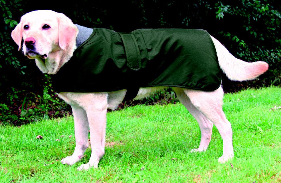 Lyon dog Coat