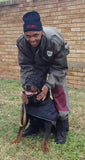 Orleans Water-Repellent Coat