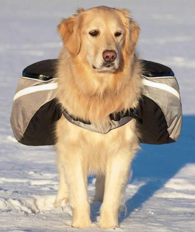 Backpack - Doggles Extreme