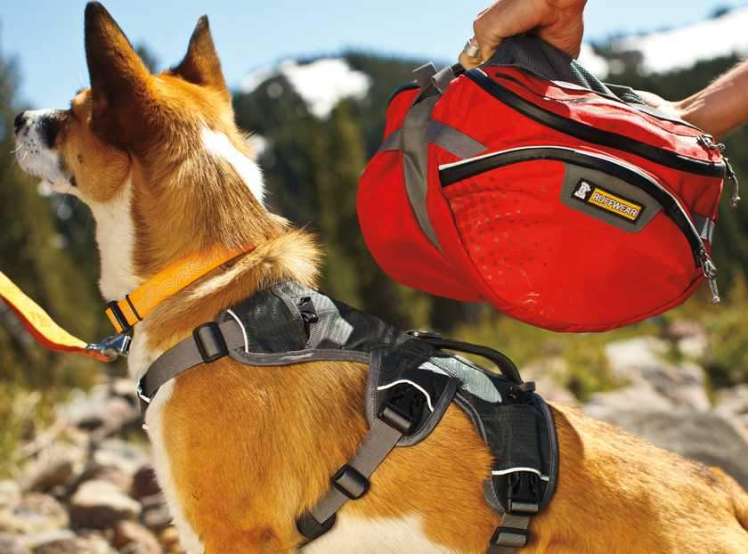 Palisades Backpack Red Medium
