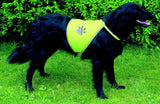 Visibility Vest for Dogs