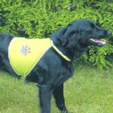 Visibility Vest for Dogs