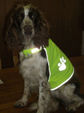 Visibility Vest for Dogs