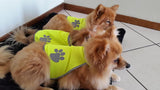 Visibility Vest for Dogs