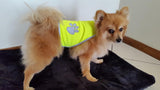 Visibility Vest for Dogs