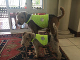 Visibility Vest for Dogs