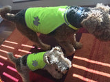 Visibility Vest for Dogs