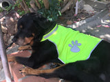 Visibility Vest for Dogs