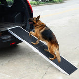 Ramp for Steps