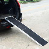 Ramp for Steps